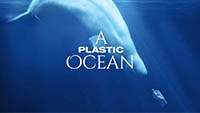 A Plastic Ocean