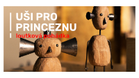 Usi pro princeznu