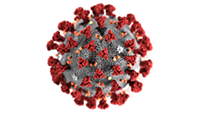 Koronavirus