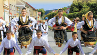 Mezinárodní folklorní festival Pod Zvičinou