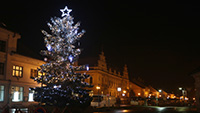 Vánoční stromek Lázně Bělohrad