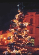 Vánoční strom na Malém náměstí