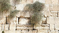 Zeď nářků v Jeruzalémě